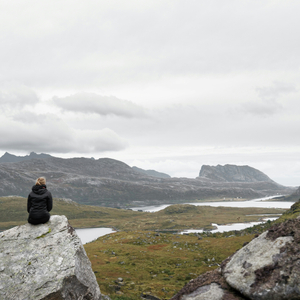 Distributed Denial of Education (DDoE): A Critical Infrastructure Analysis