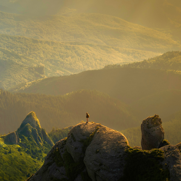 You Are Not Lost, You Are Being Found
