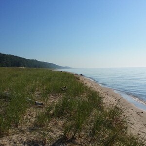 Jack Pine, Lighthouse, and Nordhouse