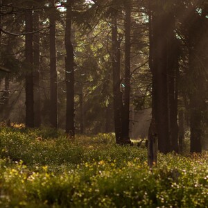 Nurnberg Trailhead, Nordhouse Dunes