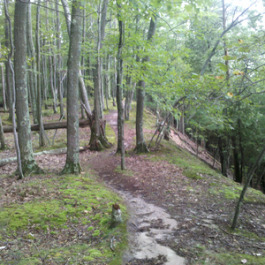 The Pretty Trails Of Nordhouse Dunes