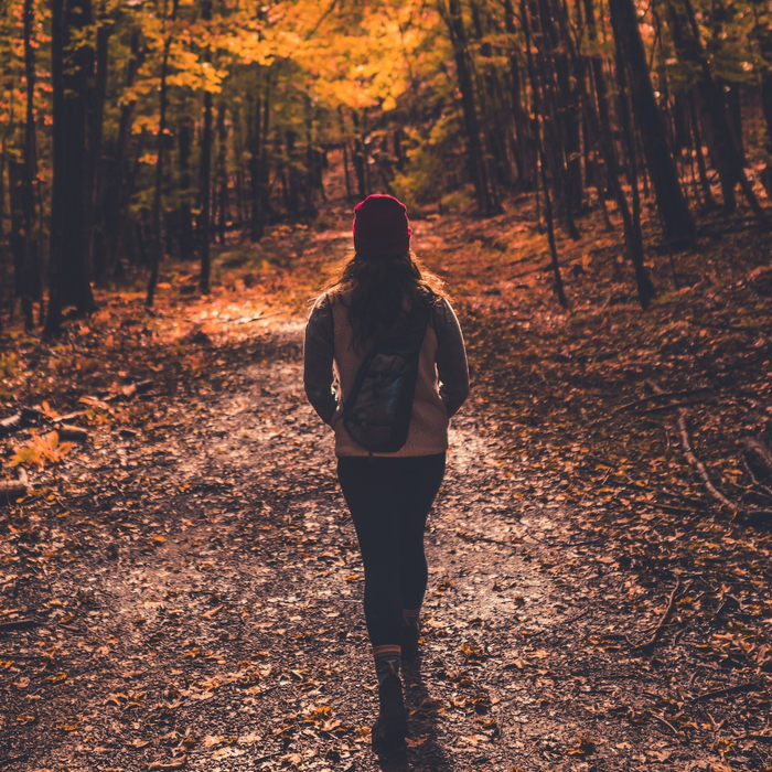 It Takes A Backpack To Hear A Book