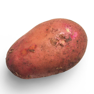 The Marvels Of Potato Programming